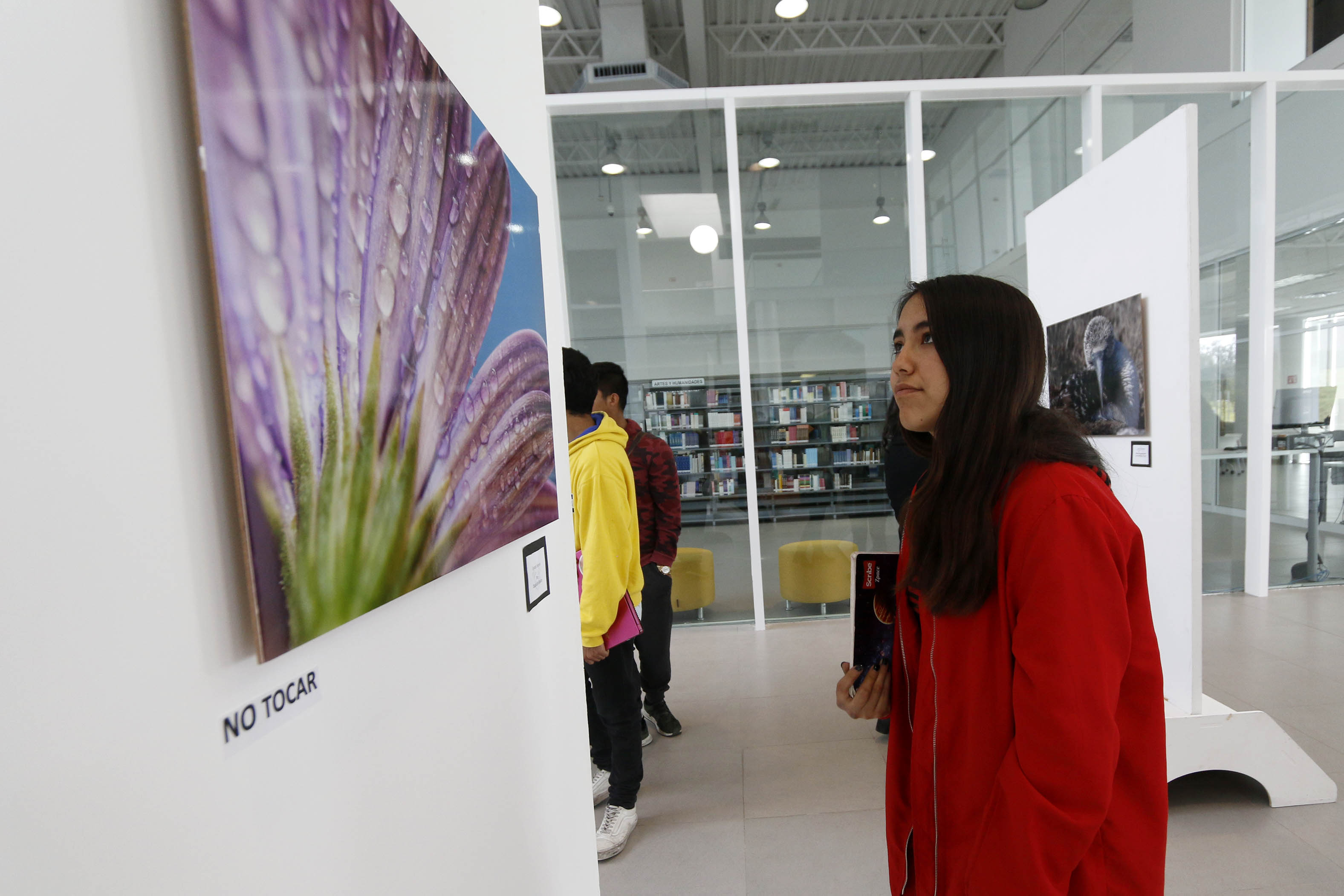 Celebra Infoteca Campus Arteaga su Cuarto Aniversario con la Exposición ...