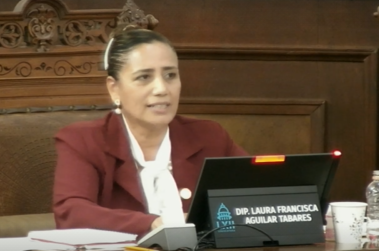 Diputada Laura Francisca Aguilar