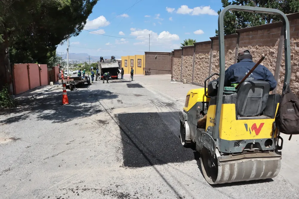 WhatsApp Image 2025-09-27 at 2.42.52 p.m.