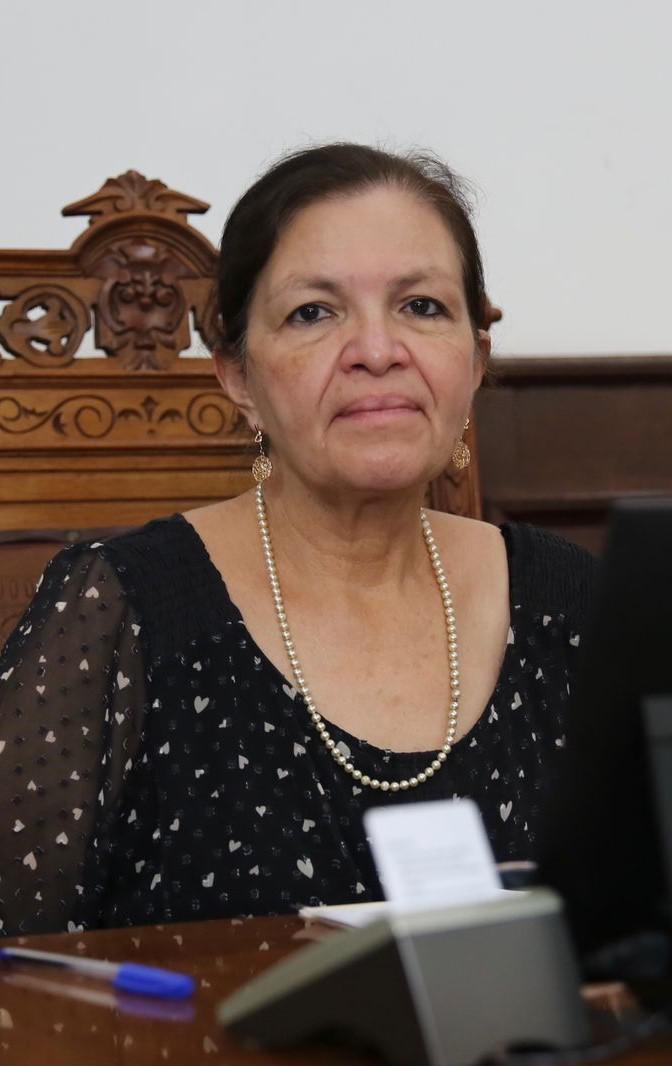 Diputada Luz Natalia Virgil