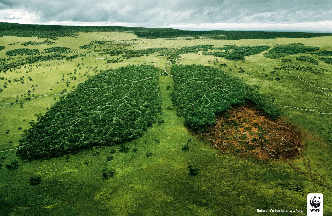 Convocatoria Video para la Preservacion y Cuidado del Medio Ambiente 2