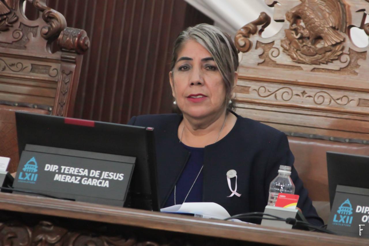 Dip. Teresa de Jesús Meraz García