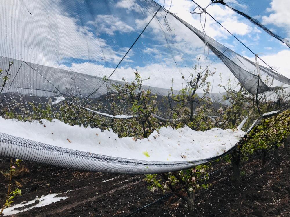 WhatsApp Image 2019-03-18 at 2.01.49 PM