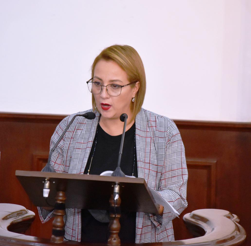 Dip. Claudia Elvira Rodríguez