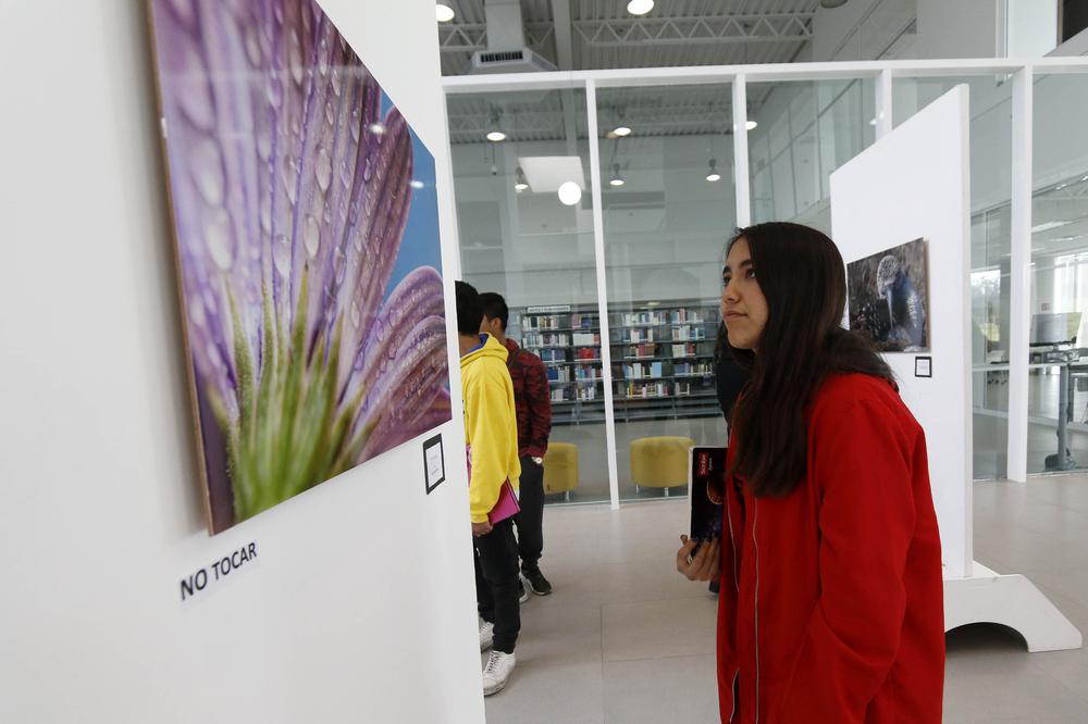 Exposicion México y sus Maravillas 6