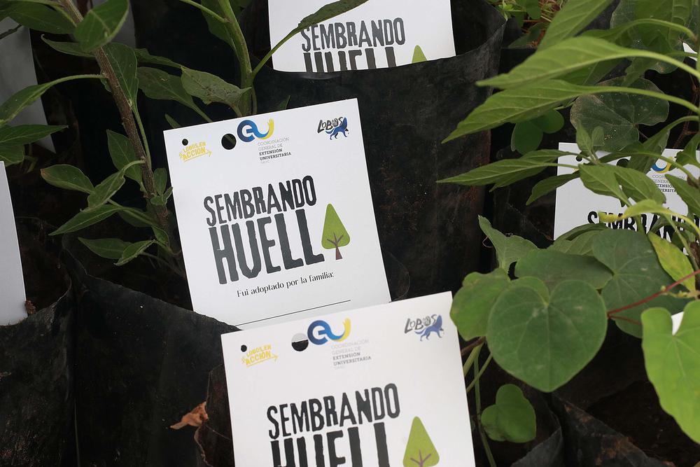 Sembrando Huella 3