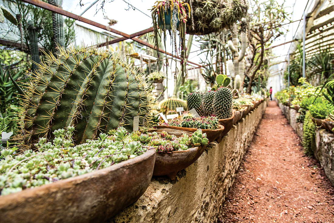jardin-botanico-quinta-fernando-shmoll-invernadero-cadereyta-queretaro