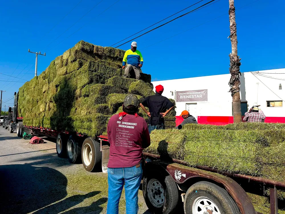 Unknown-4