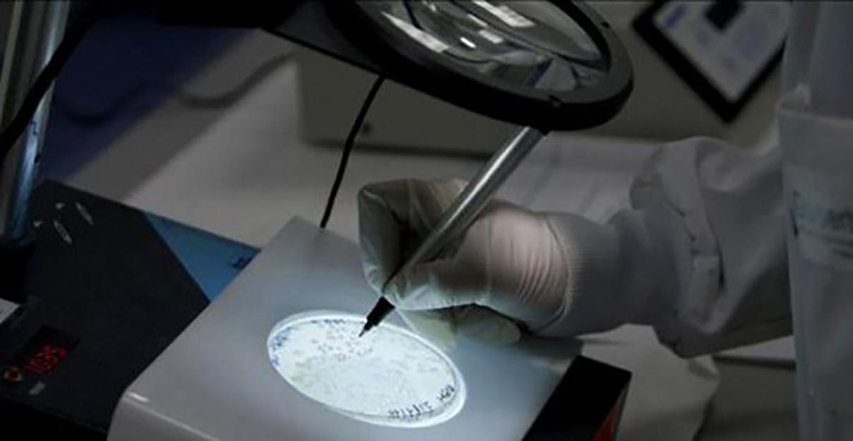 Nanomateriales a partir de Residuos 2