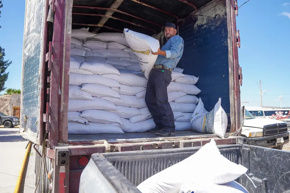 WhatsApp Image 2024-09-10 at 2.51.30 p.m.