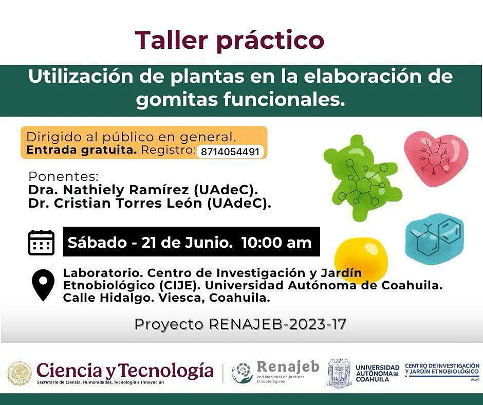 Taller Practico (1)