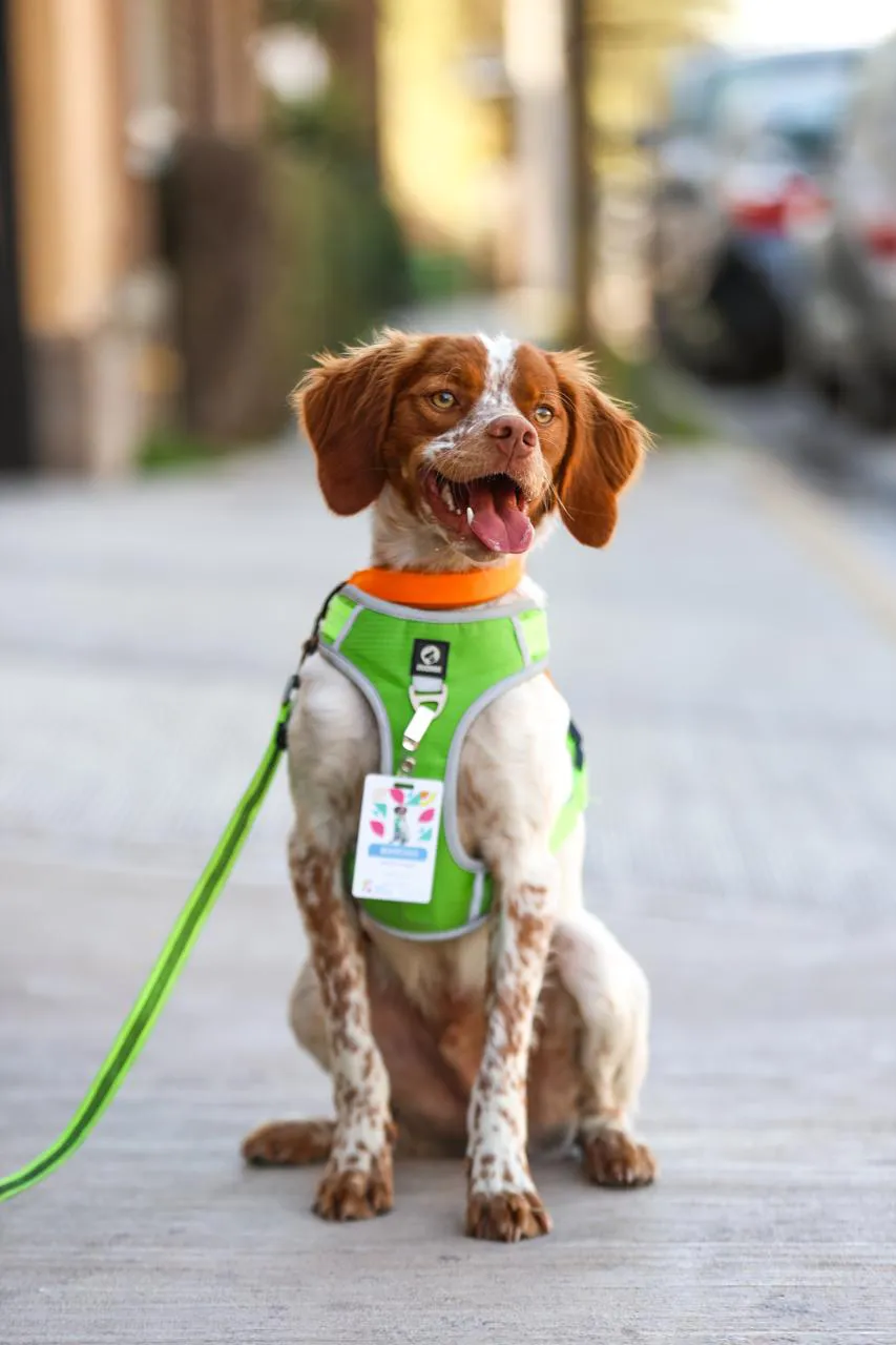 WhatsApp Image 2025-03-13 at 5.46.49 p.m.