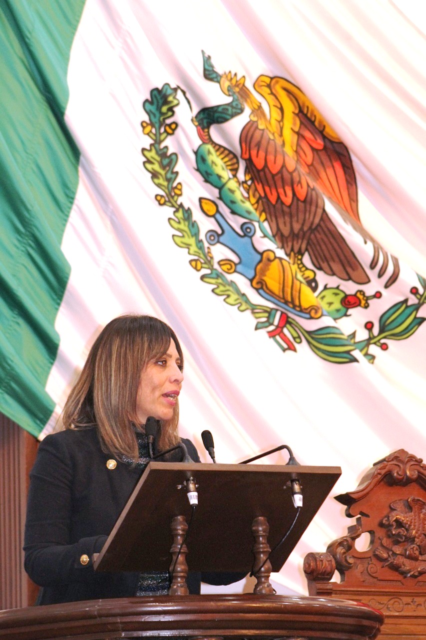 Diputada Zulmma Verenice Guerrero Cázares