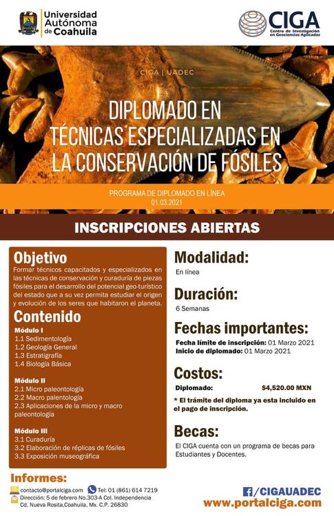 Diplomado en Tecnicas Especializadas en la Conservación de Fósiles (1)