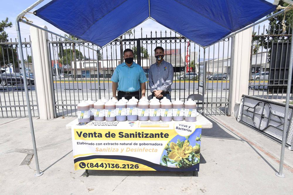 Sanitizante hecho con aceite de gobernadora 1