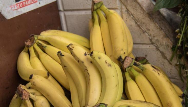 platano