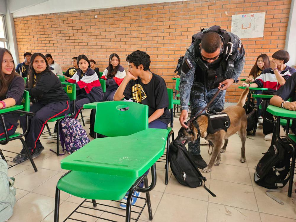 WhatsApp Image 2024-06-14 at 10.38.08 a.m. (1)