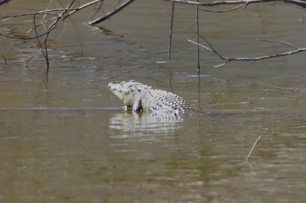 WhatsApp Image 2026-02-11 at 12.51.13 p.m.