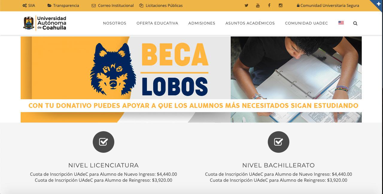 Beca Lobo
