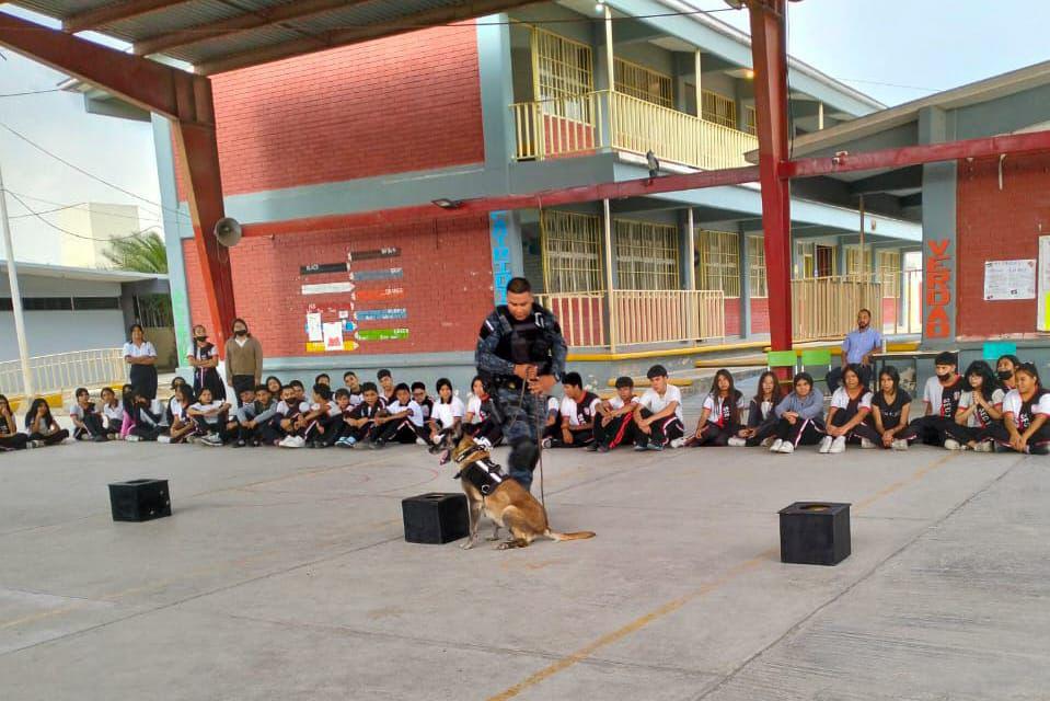 WhatsApp Image 2024-04-26 at 12.33.10 PM (1)