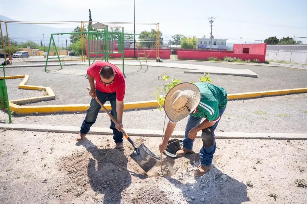 SE SUMA CASTANOS A CAMPANA DE F ORESTACIÓN EN COAHUILA (1)