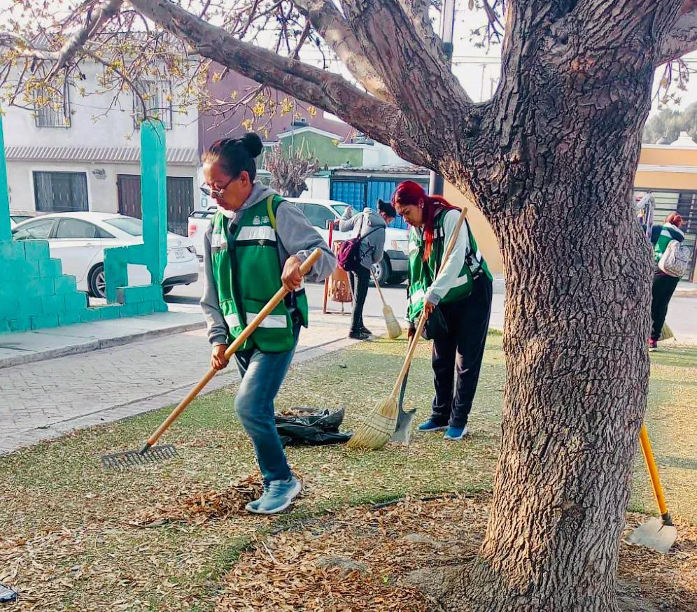 WhatsApp Image 2025-02-23 at 3.08.08 p.m.