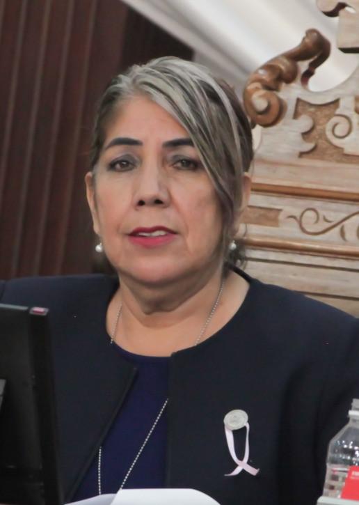 Dip. Teresa de Jesús Meraz