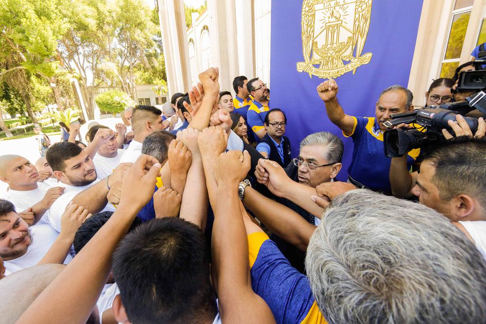 Foto Oficial Lobos 2019 6