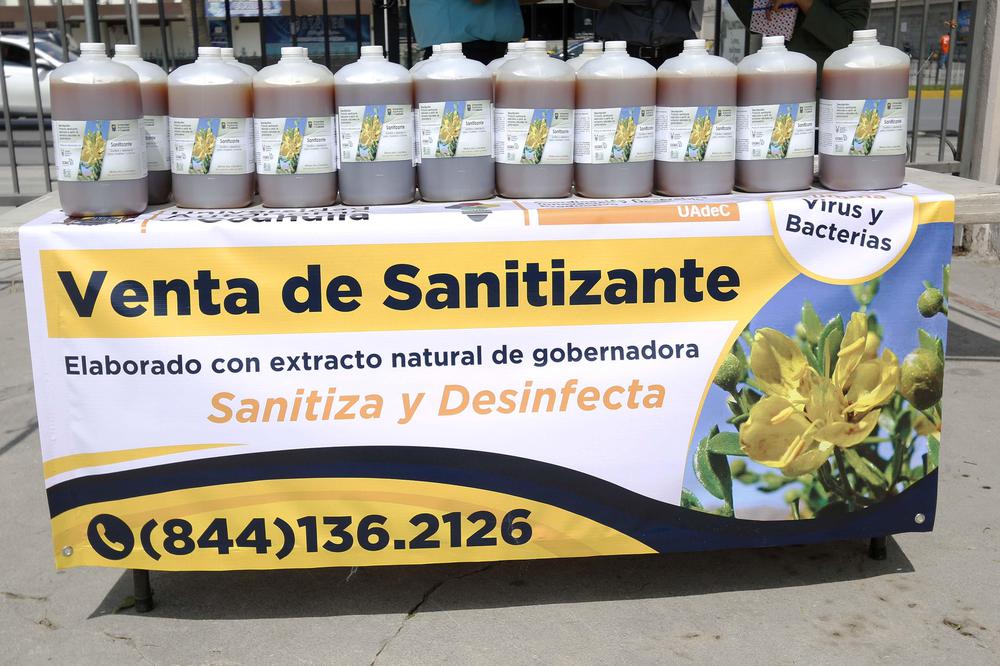 Sanitizante hecho con aceite de gobernadora 2
