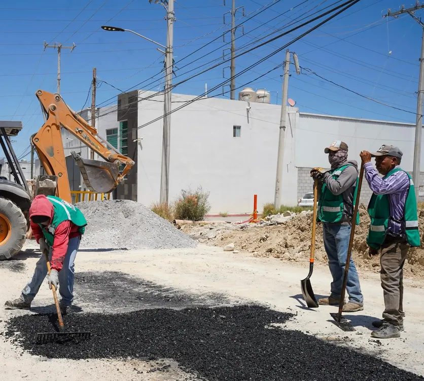 WhatsApp Image 2025-04-12 at 4.28.40 p.m.