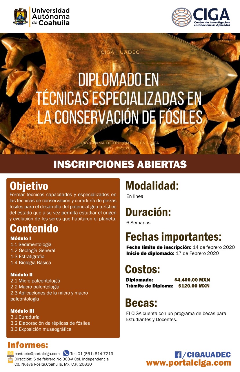 Diplomado en Tecnicas Especializada s en la Conservación de Fósiles