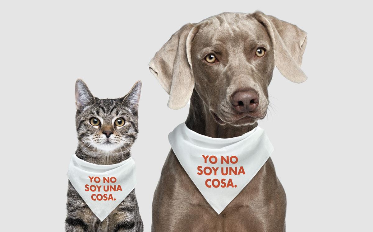 ANIMALES