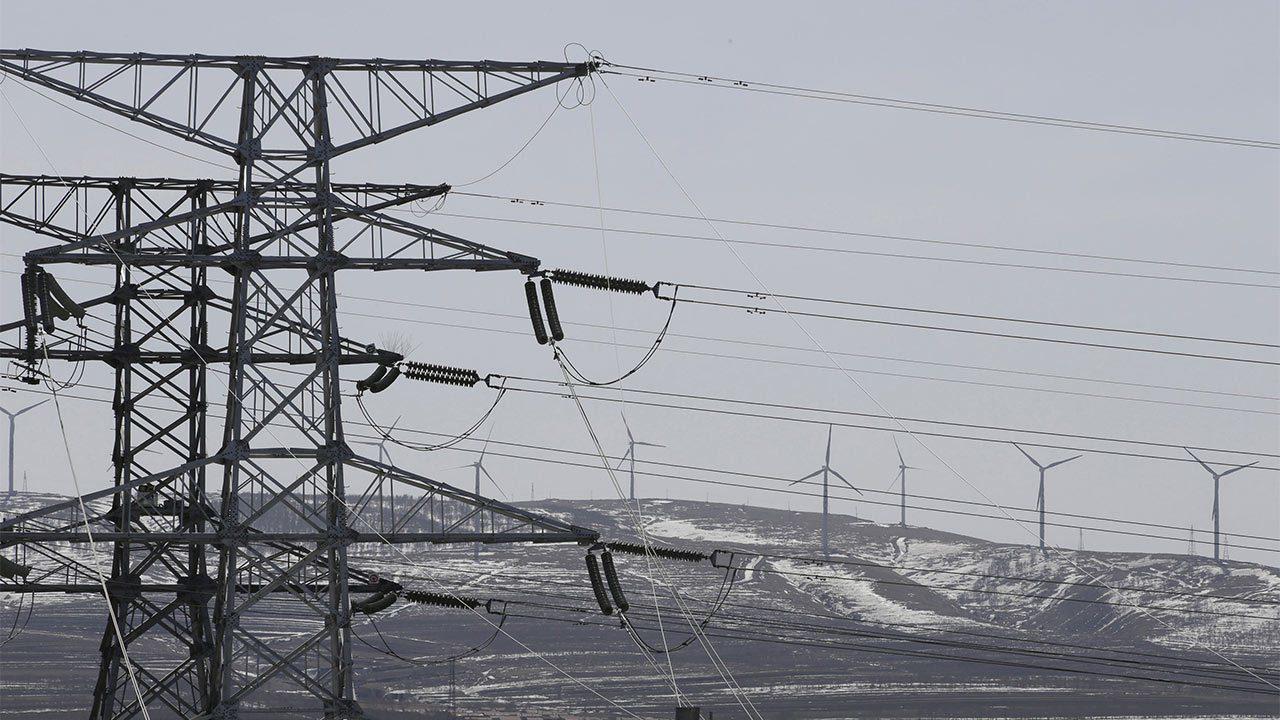 reu_red_electrica-e1613502670319