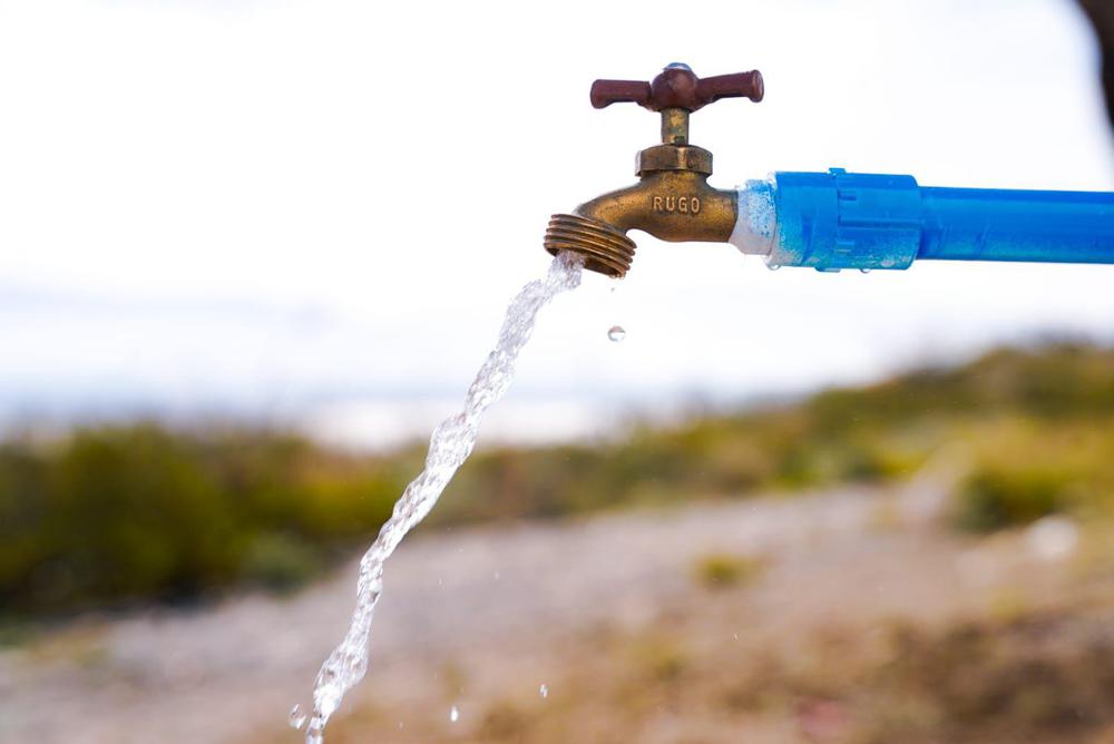 WhatsApp Image 2024-01-17 at 12.43.58 PM