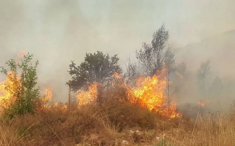 incendio sierra arteaga NOTIMEX3