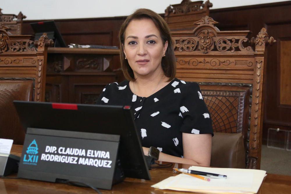 Dip. Claudia Elvira Rodríguez Márquez