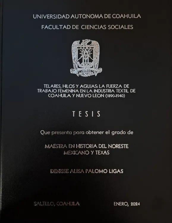 2-Tesis de Posgrado