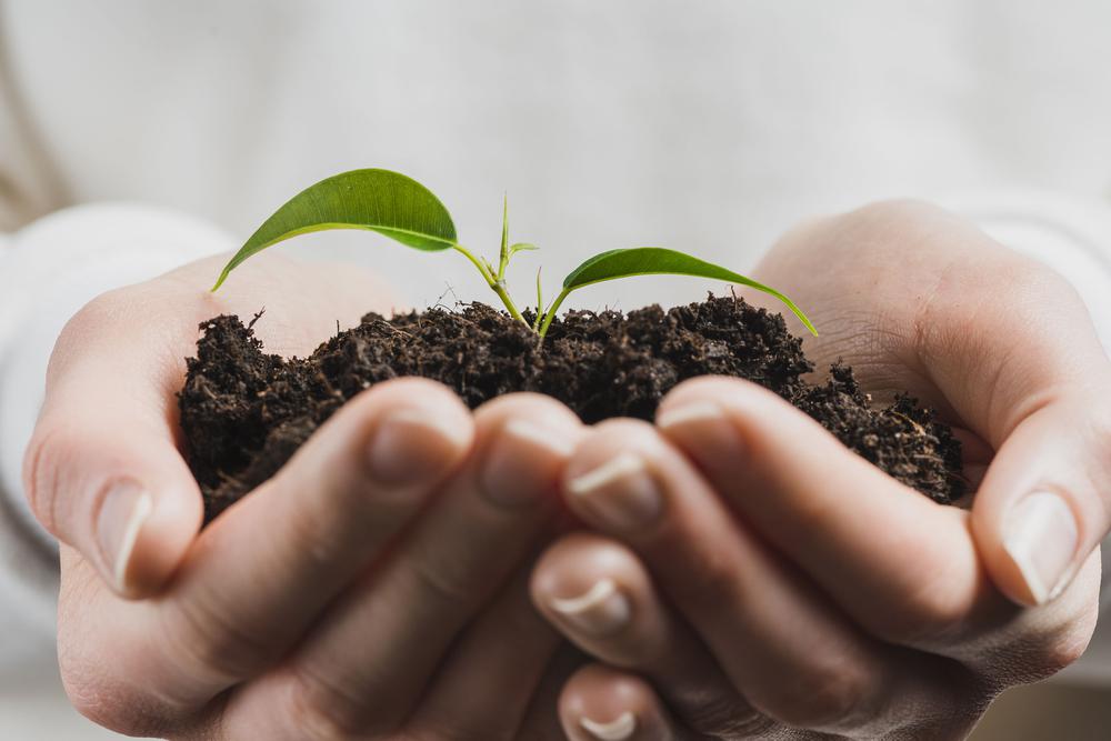 Convocatoria Video para la Preservacion y Cuidado del Medio Ambiente 3