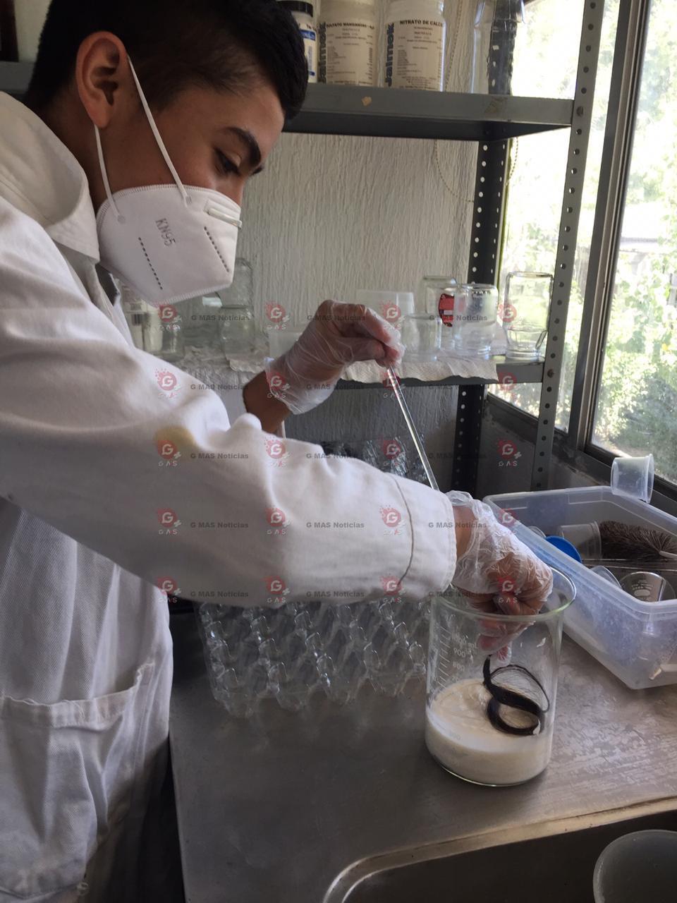 Gana Instituto de Ciencias y Humanidades de la UAdeC Primer L ugar de la Feria de Ciencias e  Ingenierías Coahuila 2020 4