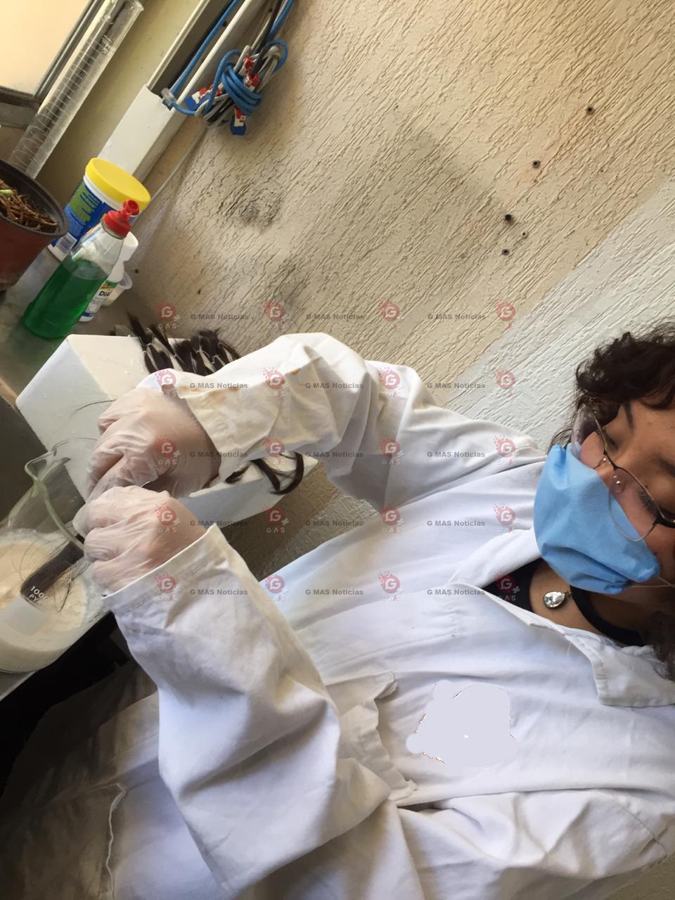 Gana Instituto de Ciencias y Humanidades de la UAdeC Primer L ugar de la Feria de Ciencias e  Ingenierías Coahuila 2020 3